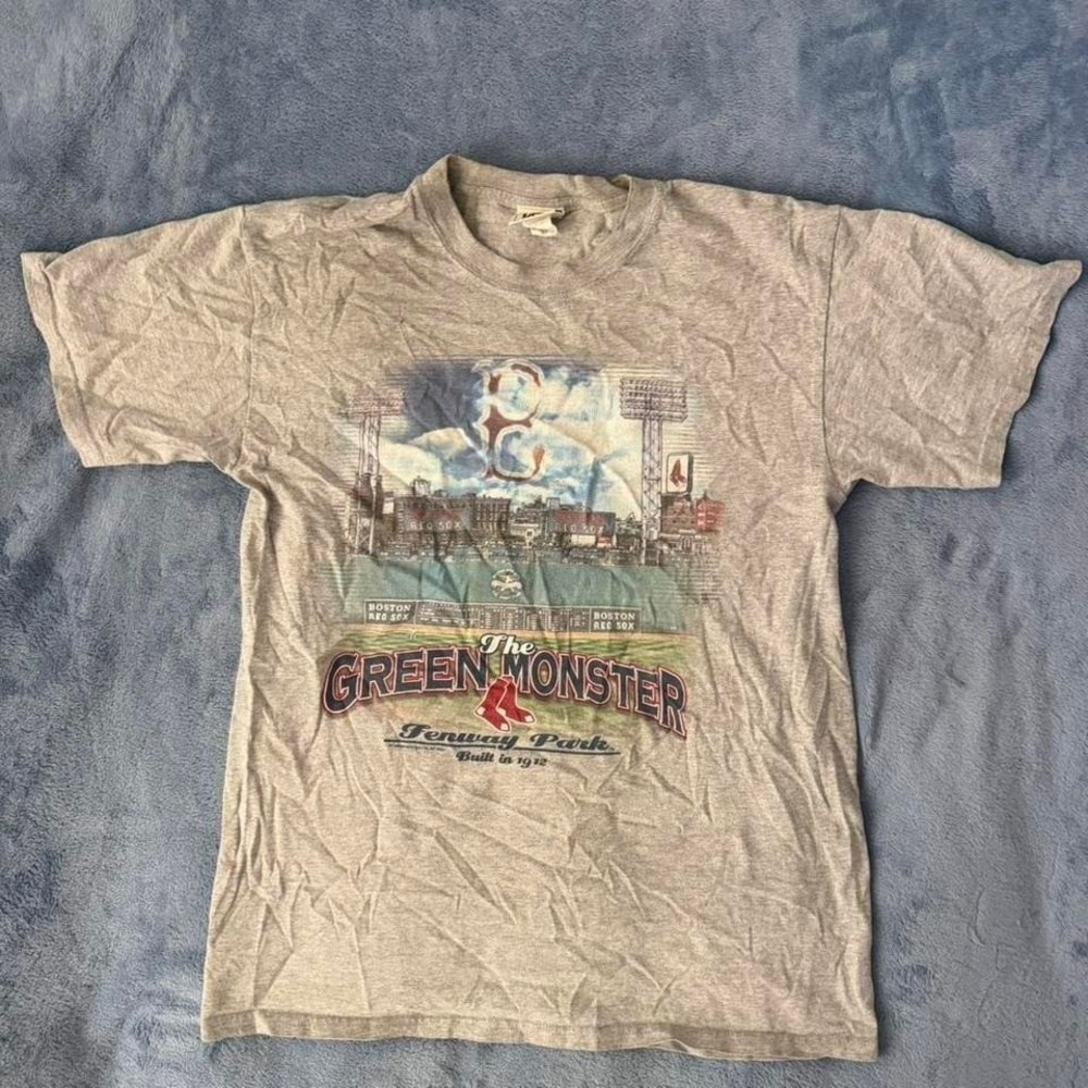Lee Sport vintage grey Fenway Park graphic tee men Size M